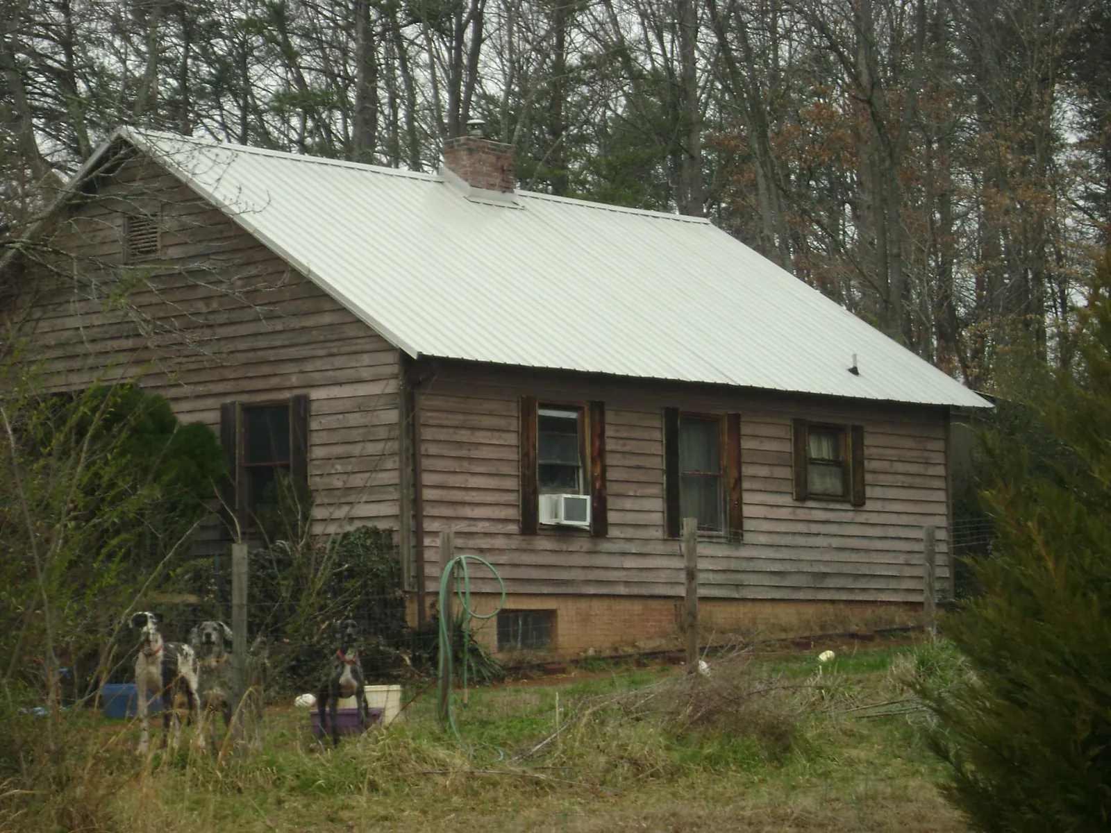 White metal roof on an old wood sided farmhouse, from a Asphalt Shingle Roof Repair job in Horntown